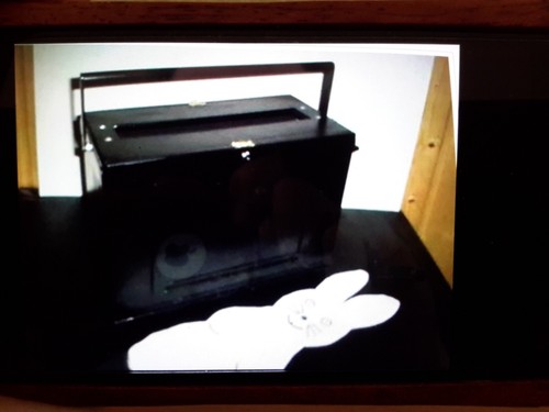 Rabbit wringer zaubertrick - wringer,