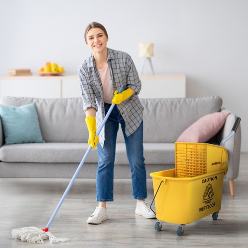 Wischeimer mit auswringer auf - auswringer,
